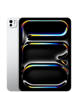 iPad (A16)